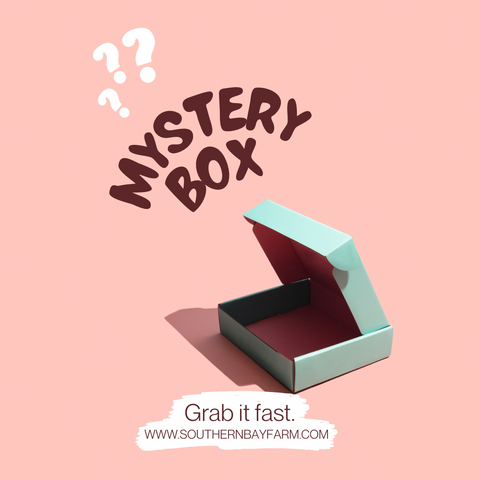 Mystery Box (LIMITED TIME)