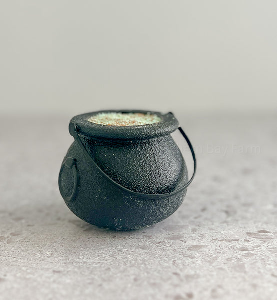 Cauldron Surprise Bath Bomb